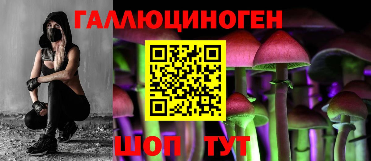 Ейск  Псилоцибиновые грибы Magic Shrooms  Вход с VPN  купить наркоту  Галлюциногенные грибы MAGIC MUSHROOMS 